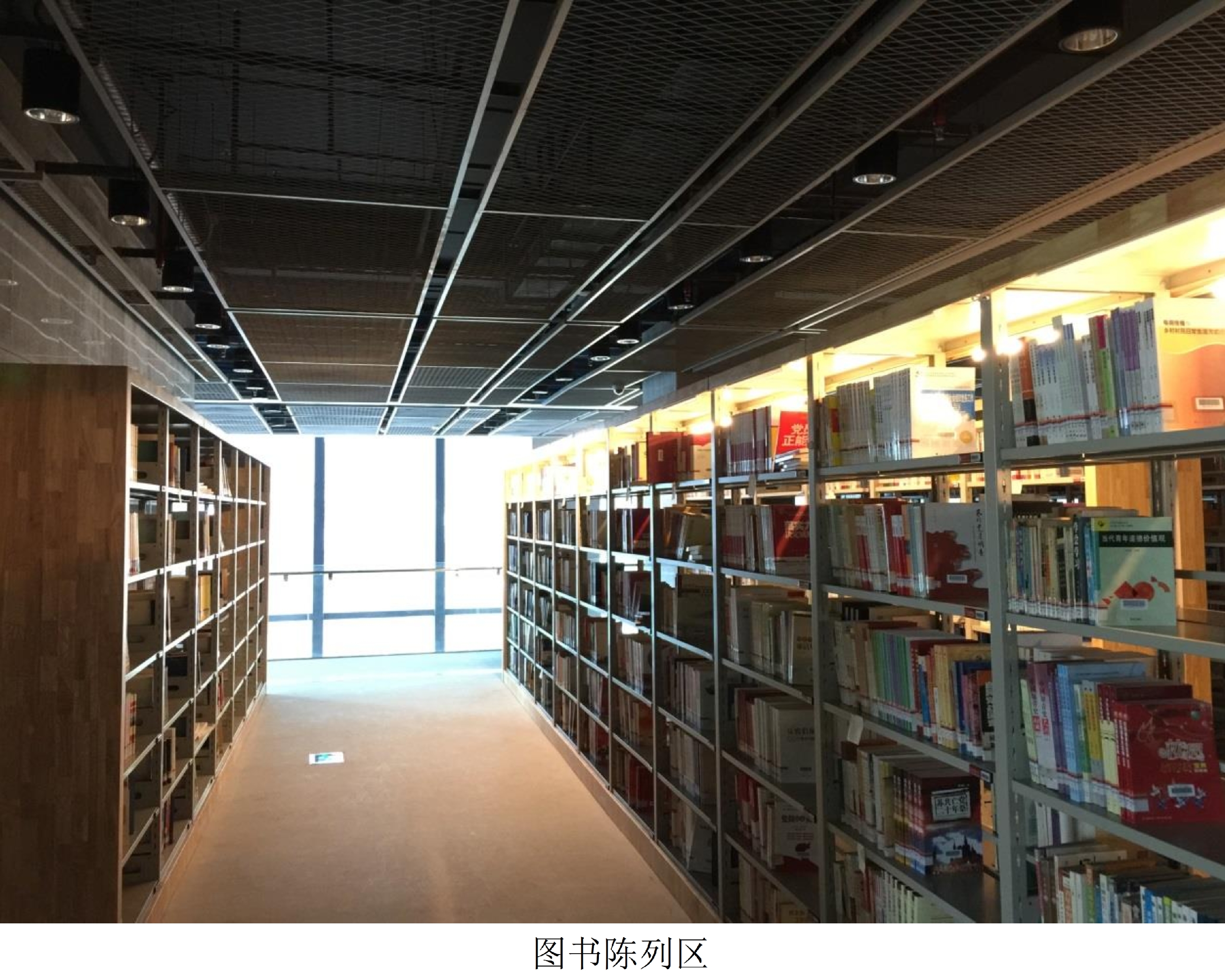 wnsr����˹(�й�)�ɷ����޹�˾