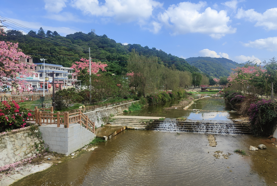 wnsr����˹(�й�)�ɷ����޹�˾