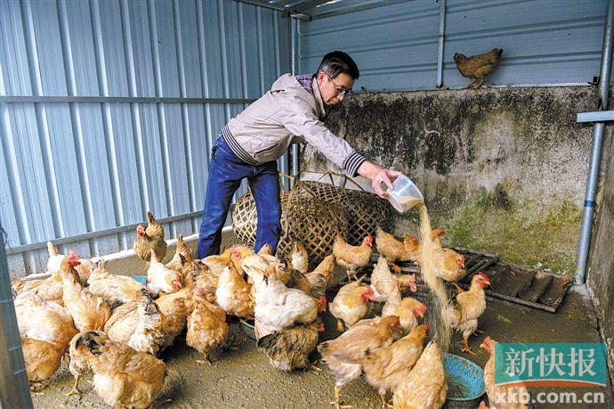 wnsr����˹(�й�)�ɷ����޹�˾