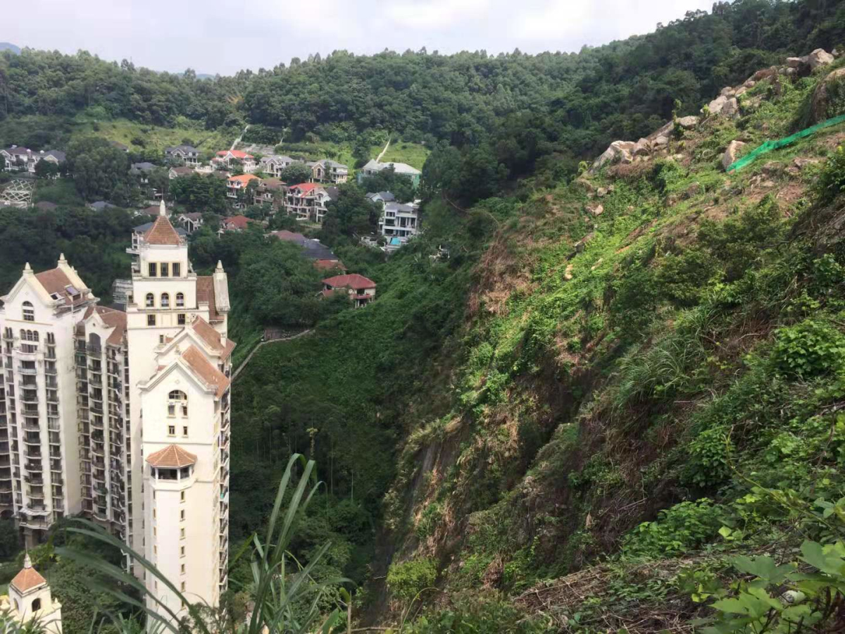 wnsr����˹(�й�)�ɷ����޹�˾