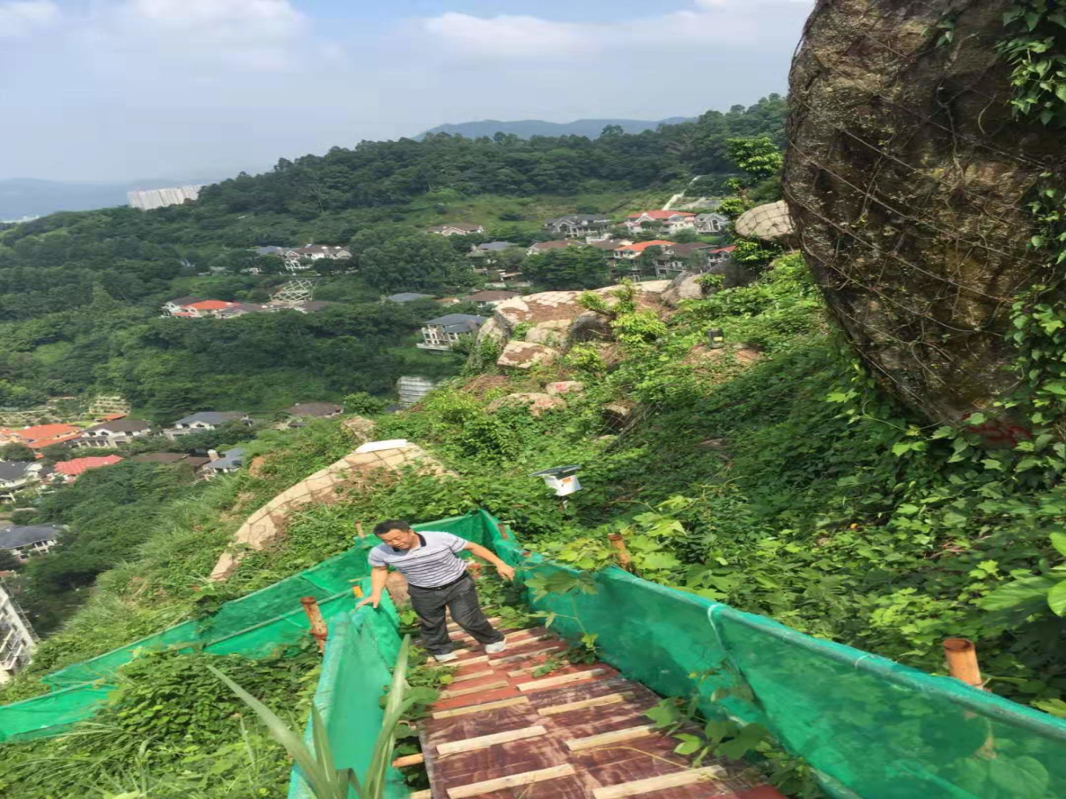 wnsr����˹(�й�)�ɷ����޹�˾