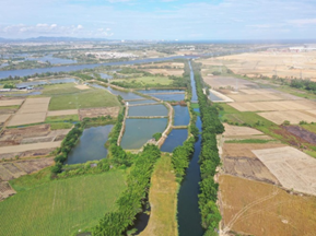 wnsr����˹(�й�)�ɷ����޹�˾