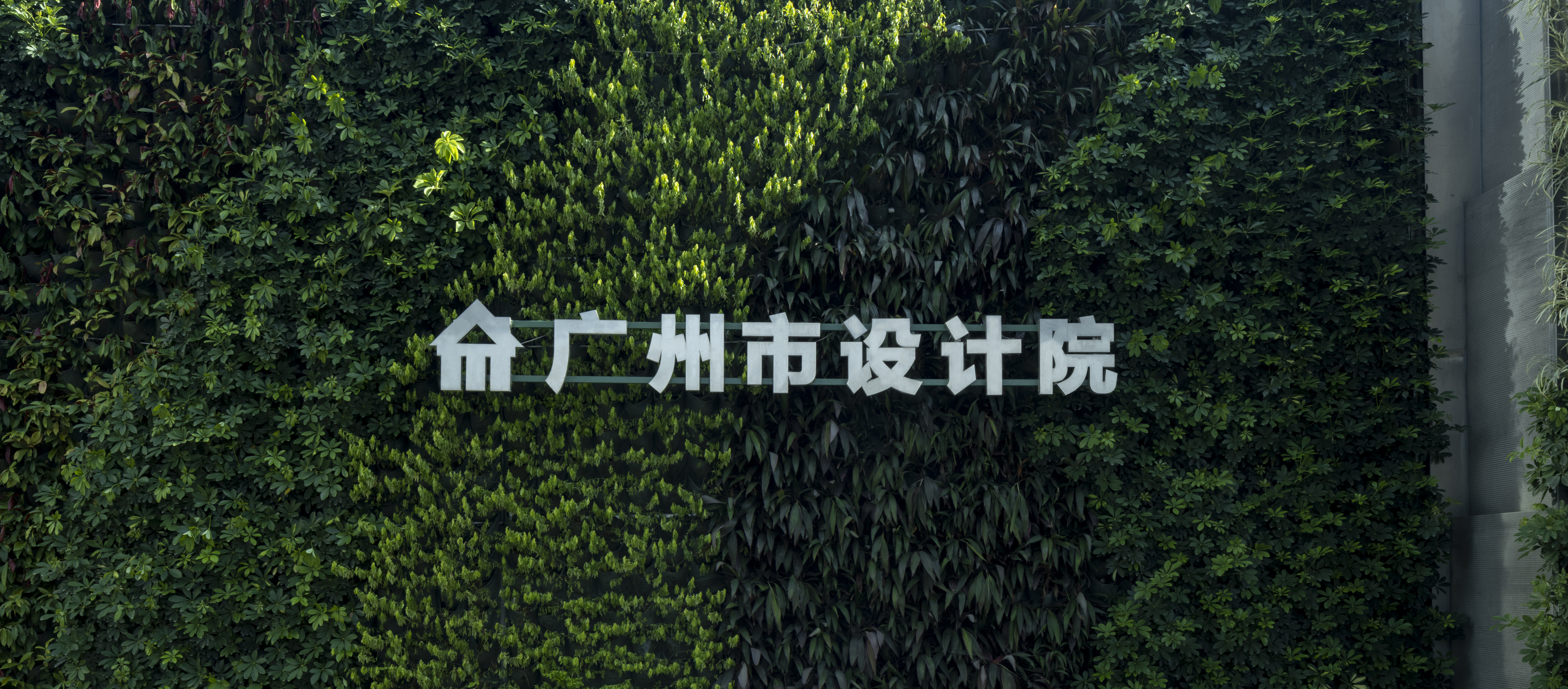 wnsr����˹(�й�)�ɷ����޹�˾